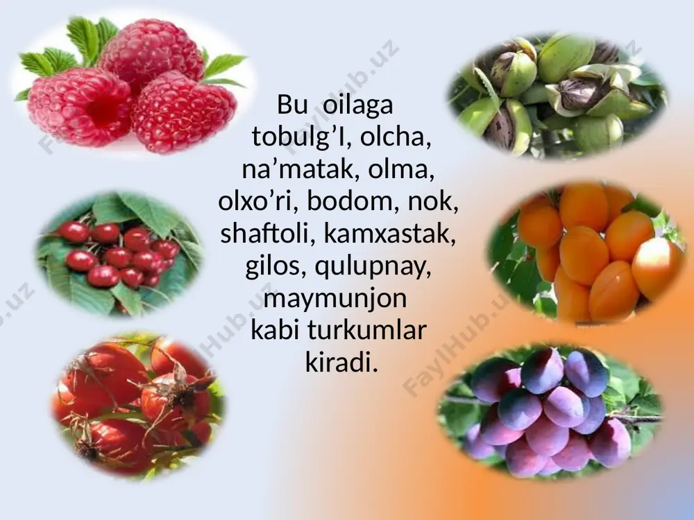 ra`nodoshlar oilasi - Page 4