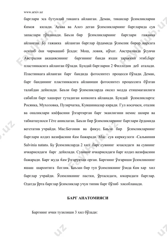 лар т(планади. баъзиларнинг хужайрасида сув запаслари т(планади. баъзан мезофиллда тошсимон хужайра склереид учрайди. мас:чойнинг баргида. баъзан (симликларнинг мезофилида ошловчи дубил моддалар, эфир мойлари ва бошка моддаларни ишлаб чикарадиган хужайралари учрайди. мас: лавр, эвкалипта, магнолия ва бошкалар. (озиксимон ва булутсимон т(кималарни-ассимиляцион т(кима деб (ам юритилади.чунки уларнинг хужайрасида фотосинтез процесси б(либ туради. булутсимон т(ки-ма сийрак жойлашганлиги учун хужайралар ораларидан хаво (тиб туради. натижада барг шамоллатиб турилади. шунинг учун бу т(кимани вентеляцион т(кима деб (ам юритилади. баргнинг томир (тган кисмида механик т(кима колленхима,асосий т(кима, (амда (тказувчи т(кима богламлари жойлашган. (тказувчи т(кима богламларининг сони 1 тадан 7 тагача боради. (тказувчи т(кима богламида камбий б(лмайди. яъни (тказувчи т(кима боглами ёпик б(лади. (тказувчи т(кима боглами коллотериаль типда тузилган. флоэма колленхиманинг пастки томонига жойлашган б(лади. (поядан фарки) баргнинг юмшок кисмига каттиклик берувчи мод-даларни идиобласт дейилади. р а д и а л ь б а р г радиаль баргга мисол килиб, карагай баргини оламиз. (арагайнинг барги к(п йиллик …