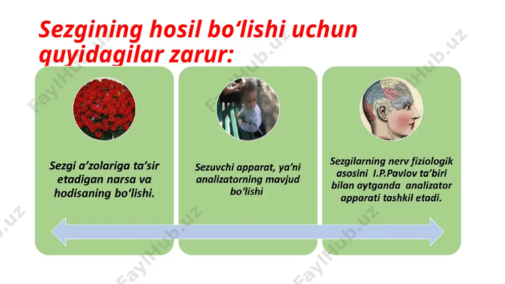 sezgi - Page 5