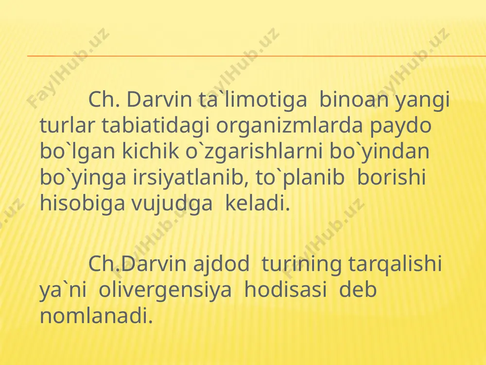 tur evolutsiyasining asosiy bosqichlari - Page 4
