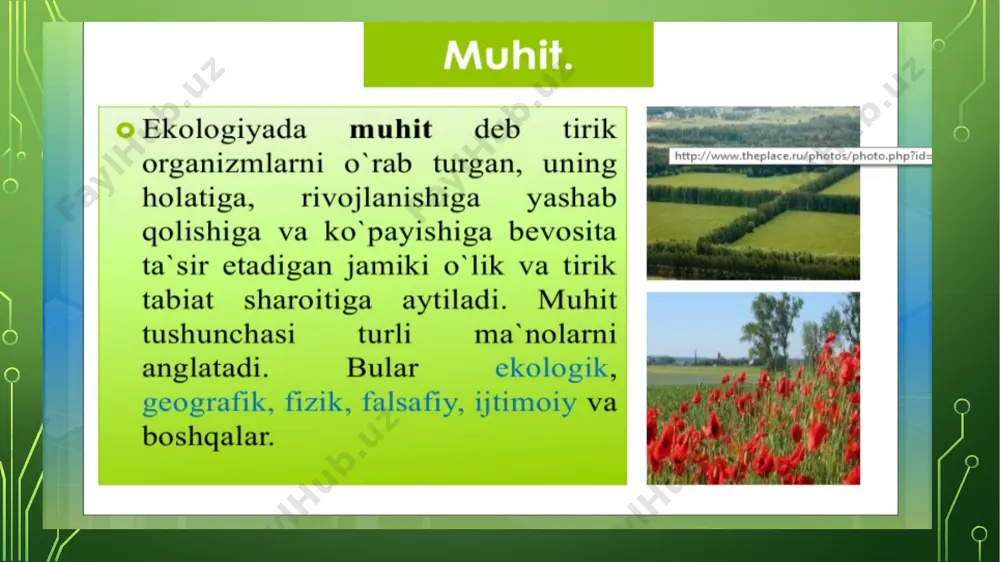 inson va geografik muhit - Page 3