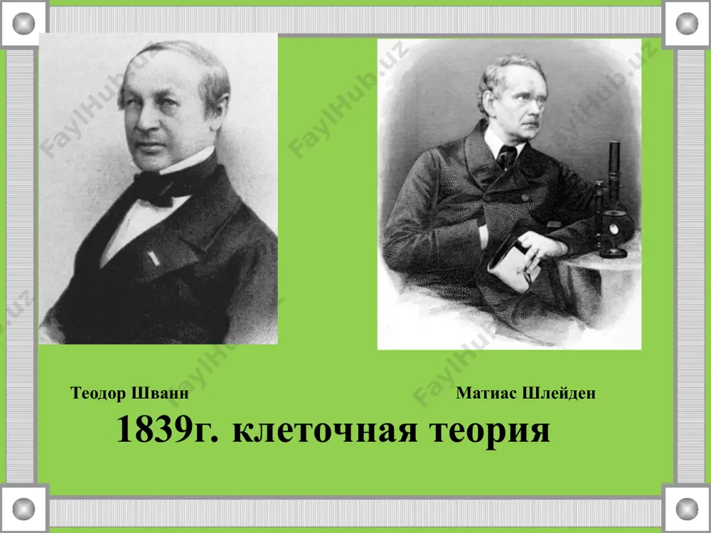 ) в них накапливаются запасные питательные ве­щества вакуоль резервуар с клеточным соком накопление питательных веществ и продуктов жизнедеятельности отличительные особенности растительной клетки. 1. наличие пластид 2. наличие крупных вакуолей с клеточным соком 3. плотная клеточная оболочка. цель работы: изучить строение клетки оборудование: - микроскоп -лук -лабораторное оборудование. ход работы: 1.при помощи пипетки капните на предметное стекло каплю слабого раствора йода. 2.с нижней поверхности чешуи лука снимите небольшой кусочек прозрачной кожицы и положите его на каплю раствора йода. 3.накройте препарат покровным стеклом и удалите излишки влаги. 4.рассмотрите препарат под микроскопом. 5.найдите в клетках клеточную оболочку, цитоплазму, ядро, вакуоль с клеточным соком. 6.зарисуйте в тетради строение клетки кожицы лука и подпишите ее основные части. 7.сделайте вывод о строении увиденных вами клеток. какие органоиды вы в них увидели, а какие нет, насколько плотно клетки прилегают друг к другу? микропрепарат клеток кожицы лука с помощью каких приборов можно изучить строение клетки? что такое клетка? …