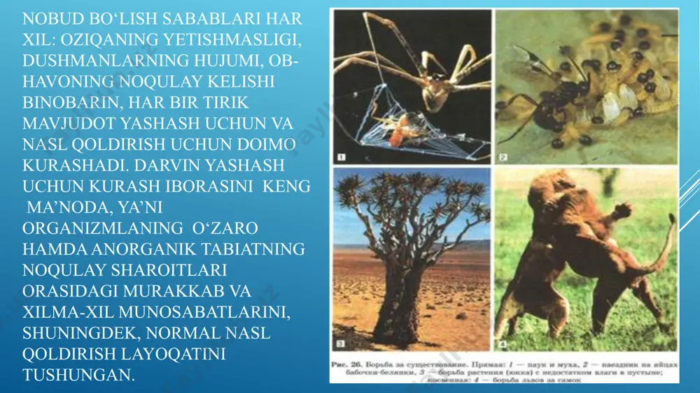 yashash uchun kurash va uning turlari - Page 5