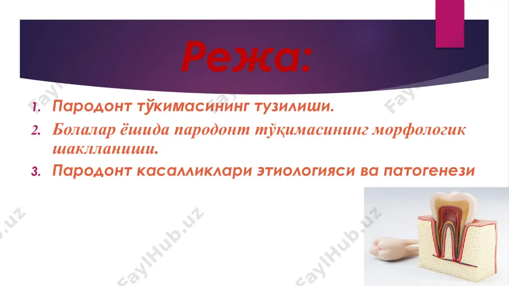 нинг асосий ҳужайра оралиқ моддаси барьер – ҳимоя ва юқори регенерация вазифаларини бажариши билан бир қаторда тўқима гемостазини барқарорлаштириб туради милкнинг микроблар ва ташқи мухитнинг ҳар хил нохуш таъсиротларидан ҳимоя қилувчи воситаси бўлиб, унинг хусусий тўқимасида фаолият кўрсатадиган ҳимоя ҳужайралар мажмуаси (лимфоцитлар, плазматик ҳужайралар, моноцитлар, нейтрофиллар макрофаглар ва семиз ҳужайралар) ҳисобланади. шу билан бир қаторда асосий моддасида мавжуд бўлган гиалурон кислотаси ва гиалуронидаза ферменти ҳам ҳимоя воситаси сифатида муҳим ўрин тутади. тўқимада гиалуронидаза ферментининг ошиб кетиши унинг ўтказувчанлигини оширади ва яллиғланиш жараёнининг бошланишига сабаб бўлади. бундай ҳол кўпинча патоген микроорганизмларнинг тўқимага тушиб, ўзидан гиалурон кислотасини ишлаб чиқарган пайтларда юз беради милк эгатчаси – бу тиш ва унга ёпишиб турган милк ўртасидаги бўшлиқ ёки чўнтак бўлиб, махсус бириктирувчи эпителий билан қоплангандир. милк чўнтаги ёки эгатчаси ва махсус эпителиал бирикма пародонт тўқимаси учун ҳимоя вазифасини бажариши билан биргаликда ўзининг хос тузилишига ва қон билан таъминотига эгадир. махсус соҳа эпителийси ҳеч қачон мугузланмайди …