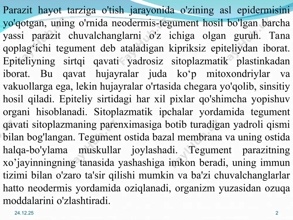 i kengayib yoki torayib va parazit xo‘jayin organlariga yopishib oladi. tananing oldingi uchida joylashgan og'iz teshigi yumaloq yoki oval bo'lishi mumkin bo'lgan ektodermal mushak so'rg'ich halqumiga olib keladi. halqumdan keyin tor va qisqa qizilo'ngach joylashgan. endodermal o'rta ichak ko'pincha tananing yon tomonlariga parallel ravishda joylashgan va uchi berk tugaydigan ikkita shoxdan iborat. jigar qurtida ichak ko‘p marta shoxlanadi. bu hayvonning tanasida ovqat hazm qilish mahsulotlarini taqsimlash jarayonini osonlashtiradi. ayrim trematodalarda ichak shoxlari halqa shaklida yopiladi . juda kichik trematodalarda, aksincha, ichak shoxlarini qisqartirish va kamaytirishi mavjud. anenterotrema avlodiga mansub trematodalar umuman ichakka ega emas. bir qator trematodlarda anusga o'xshash qism bor. * * ba'zi hollarda shoxlarning so'nggi bo'limlari birlashib, bitta anal teshikni hosil qiladi, boshqa hollarda ikkala shox mustaqil anal teshiklari bilan tugaydi. exinostomat oilasining o‘ziga xos vakillarida ichak shoxlarining orqa qismi siydik pufagi bilan qo‘shilib, chiqarish teshigi anus vazifasini bajaradi.ichak epiteliyasi ikki turdagi hujayralar bilan ifodalanadi. ulardan biri baland …