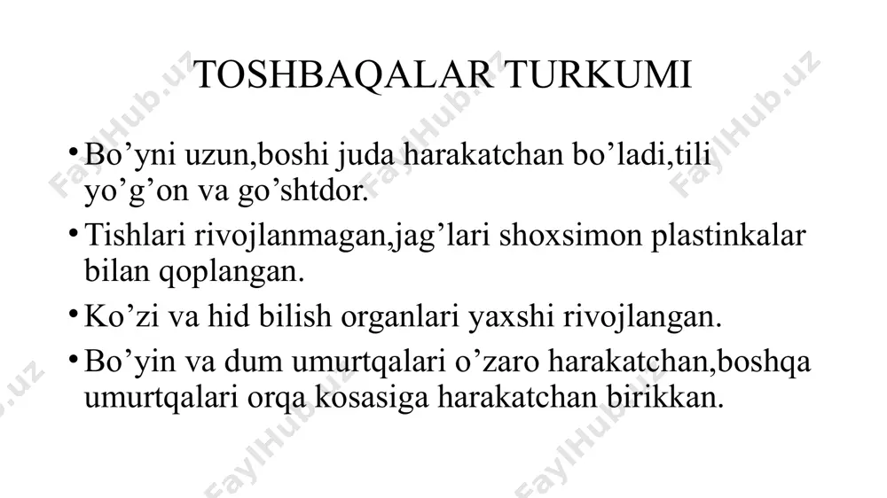 toshbaqalar va timsohlar turkumlari - Page 3