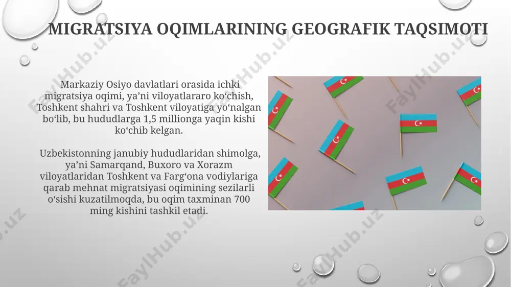 oʻzbekistonda tashqi migratsiya - Page 4