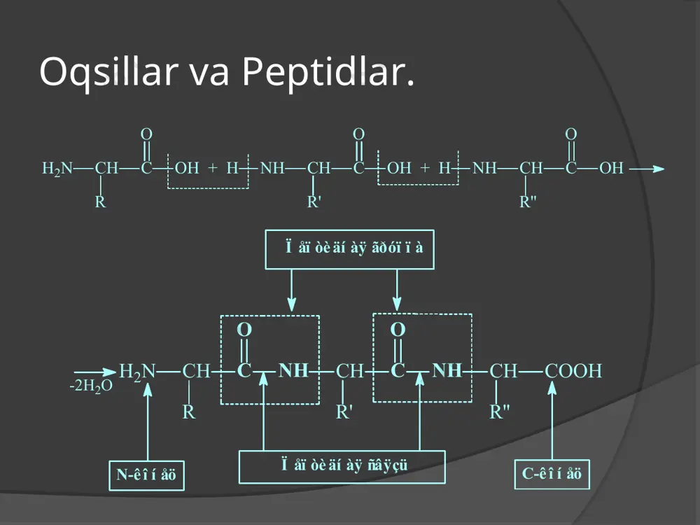 oqsillar - Page 4