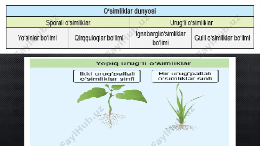 o‘simliklar dunyosi - Page 4