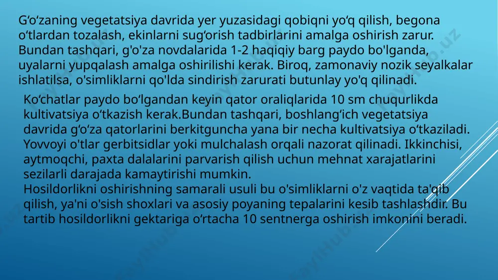 g‘o‘za seleksiyasi va urug‘chiligi ilmiy tadqiqot instituti. mualliflar: kim r.g., amanturdiyev a.b. va boshqalar. 1999-yil davlat reyestriga kiritilgan. mamlakatimiz hududida samarqand va xorazm viloyatlari, qoraqalpog‘iston respublikasida ekish uchun tavsiya qilingan. surxon 103 navning ustunlik.tomonlari: yuqori tezpisharlik, hosildorlik va tola chiqimiga ega. hosil elementlarini yuqori surʼatda to‘plashi va ko‘saklarni erta muddatlarda ochilishi evaziga 1-oktabr muddatigacha hosilni to‘liq yig‘ishtirib olish imkoniyatini beradi. fuzarioz vilt kasalligi, garmsel va tuproqdagi suv tanqisligiga bardoshli. poyasini ixchamligi hisobiga ko‘chat sonini oshirish va qo‘sh qator usulida ekishga tavsiya etiladi. mashina terimiga moslashgan. qayerda yaratilgan: paxta seleksiyasi, urug‘chiligi va yetishtirish agrotexnologiyalari ilmiy tadqiqot instituti. mualliflar: kimsanboyev o., avtonomov v. a., namazov sh.e., xusanov x. va boshqalar. 2020-yil davlat reyestriga kiritilgan. mamlakatimiz hududida surxondaryo viloyatida ekish uchun tavsiya qilingan. s- 6524 navi. bir ko‘sak paxtasining vazni-5,6 g. tola chiqishi – 35,7–36,7 foiz. tola uzunligi – 34,0–35,0 mm. metrik raqami – 5660–5960. tolaning uzilish kuchi – 4,5 gk. 1000 dona …