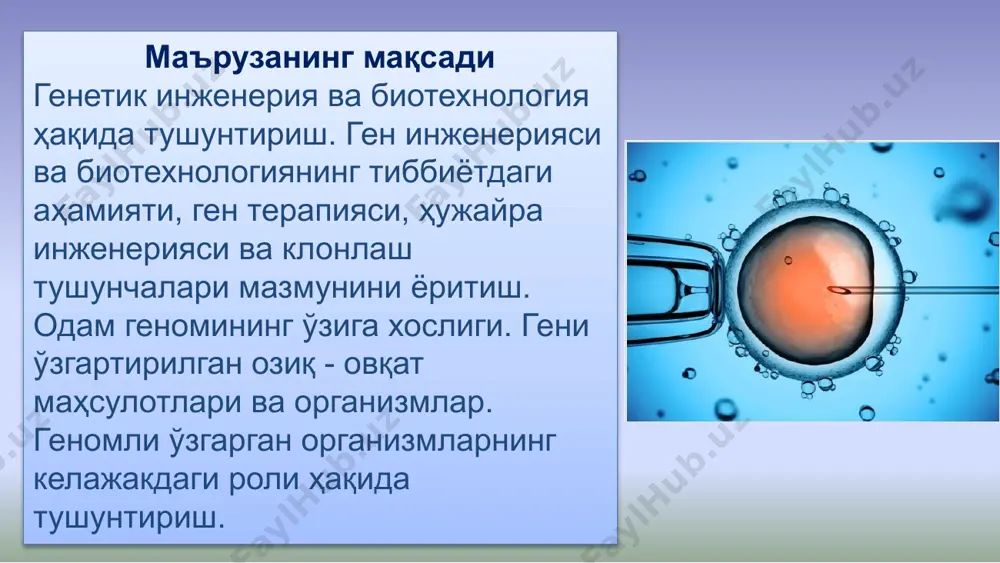 қали геномни ўзгартиришга имкон беради. ген инженериясини қўллаш орқали: генетик модификацияланган, фойдали янги хусусиятларга эга ўсимликлар навларини олиш; гормон, фермент, витаминлар, антибиотиклар ва бошқа фармацевтика ҳамда озиқ-овқат саноатида аҳамиятга эга моддалар синтези; биотиббиёт препаратларини ишлаб чиқариш учун тирик фабрика сифатида трансген ҳайвонларни яратиш; маълум бир генларни функционал тадқиқотлари учун янги экспериментал сичқон зотларини (нокаутларни) яратиш. нанобиотехнология соҳасида – дориларни етказиш тизимининг принципиал янги хоссаларига эга бўлган ген-инженер химера оқсилларни, ион каналларини, биологик моторларни яратиш ишлари муҳим аҳамиятга эга. ген инженериясини қисқача тарихи. 1865 йили грегор мендель нохот ўсимлигини дурагайлаш орқали ирсият қонунларини тушунтирди. 1869 й. — иоганн фридрих мишер лейкоцитлардан днк ни ажратиб олди. 1888–1909 йй. —генетик терминология шакллана бошлади: «ген» «генотип», «фенотип», «хромосома», «мутация» тушунчалари пайдо бўлди. 1892 й. — д.и. ивановский бактериал фильтрдан ўта оладиган вирусларни аниқлади. 1901 й. — альбрехт коссель нуклеинни оқсил бўлмаган компоненти таркибида — нуклеин кислоталар — азотли асослар: аденин, гуанин, цитозин, тимин ва …