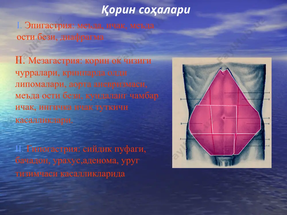 araro nerv. yutal va chukur nafasda ogrikning kuchayishi, plevrit xar doim ikkilamchi. perikarditning asosiy belgilari: ogrik, perikadning kaltirashi, ekg da uzgarishlar, yurak bugikligining kengayishi, yurak tonlarining pasayishi, vakt utishi bilan ung korincha etishmovchiligi va gepatomegaliya; kovurga va upka jaroxatlarida; gipertonik kriz (sababi angiospazm); o'tkir miokard infarkti (gastralgik forma, 4% xollarda, v.p. obraztsov, p.d. strajesko 1910 y). «kizilungach shakli» - disfagiya. uglov uslubi. kalit – ekg va korin xolati dinamikada; tugunli periarteriit (kussmaul-mayer kasalligi) – urta va mayda kalibrli arteriyalarning sistem zararlanishi allergiya fonida. abdominal sindrom 3-chi urinda buyrak va yurakdan keyin. korinda utkir ogrik gektik xarorat fonida, bosh ogrigi, toshmalar, anemiya, leykotsitoz; utkir gidronefroz va buyrak sanchigi xurujlari. murakkabligi: xomiladorlarda va retrotsekal appenditsitda. yordam beradi ogriklar irradiatsiyasi va peshobdagi uzgarishlar; davomi: revmatik peritonit (1895-genoch va 1901 – still 11% xollarda. 1961 nicolan va chitz appendikulyar, buyrak va jigar shakllarini ajratishgan. m.a. yasinskiy 1939 yilda chukur va yuzaki paypaslaganda fark yukligini …