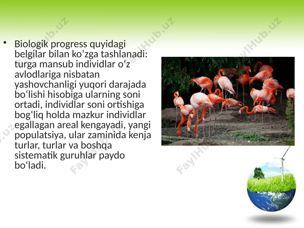 organik olam filogenezi - Page 4