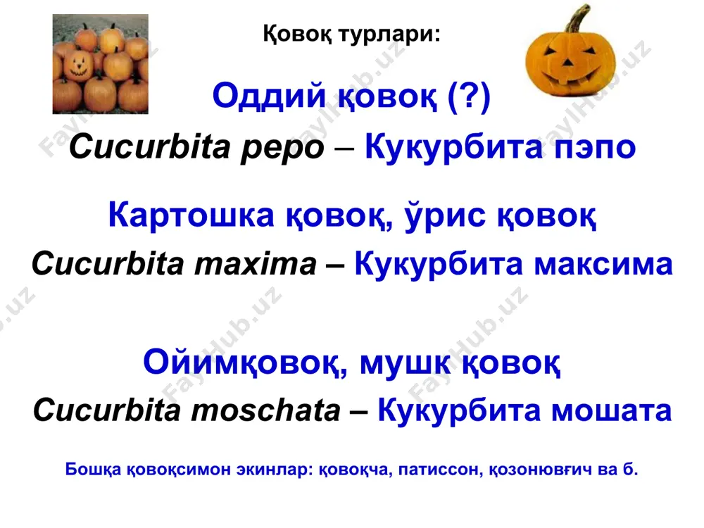 скуналарни қайноқ сув билан стерилизация қилиш; биринчи сўлиган ўсимликларни дарҳол юлиб олиш ва иссиқхонадан чиқариб, ёқиш (устида қизил моғор ривожланган ўсимликларни, конидиялар тарқалиб кетмаслиги учун, жуда эҳтиёткорлик билан чиқариш); қишлоқ хўжалик фитопатологияси полиз экинлари касалликлари ва уларга қарши кураш чоралари бодринг фузариоз сўлиши кураш чоралари иссиқхона ва далаларда чидамли навлар экиш; уруғни экишдан олдин самарали фунгицид билан дорилаш; баланси сақланган ўғитларни бериш; далаларда полиз экинлари ҳар 4-5 йилда қайта жойлаштириш назарда тутиладиган алмашлаб экишни йўлга қўйиш; қишлоқ хўжалик фитопатологияси полиз экинлари касалликлари ва уларга қарши кураш чоралари бодринг фузариоз сўлиши кураш чоралари уруғ ичидаги замбуруғ инфекциясини зарарсизлантириш учун уч босқичли термик усул ишлаб чиқилган: уруғлик 1 сутка 35ос да, кейин 3 сутка 55ос да ва яна 1 сутка 70-72ос да қиздирилади. бунда ишлов берилган уруғларнинг далада ўсувчанлиги пасаймайди ва уруғлик фузариоздан тўла зарарсизлантирилади. қишлоқ хўжалик фитопатологияси полиз экинлари касалликлари ва уларга қарши кураш чоралари бодринг фузариоз сўлиши кураш чоралари пайвандтаг …