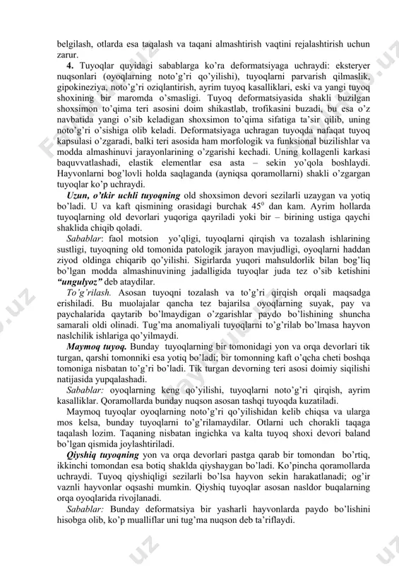 i (yon) tuyoqchalar ichkarilariga nisbatan kattaroq bo’ladi, barmoqlararo yoriqning kengayishi kesishgan paychalarning cho’zilishiga va natijada barmoqga tushadigan tana og’irligining pasayishiga yordam beradi, bunda ichki uchinchi barmoqqa ko’proq og’irlik tushadi. shu bilan birga tayanch fazasida yumshoq tovon siqiladi va o’z navbatida u ham amortizatorlik vazifasini o’taydi. shunday qilib tayanch holatda hayvon og’irligining ko’p qismi barmoqlarning pay va paychalariga o’tkaziladi, yumshoq tovon va tuyoq kapsulasiga tushadi va ular birgalikda distal amortizator vazifasini bajaradi. tuyoq yerdan uzilib, oldinga harakatlanganda cho’zilgan pay va paychalar qayta o’z joyiga keladi va birlashib turadi. bir tuyoqli hayvonlarda esa og’irliq yumshoq tovon tog’ayi, tuyoq devorining burma burchaklariga va tovon strelkasiga tushadi. bir tuyoqli hayvonlarda tuyoq mexanizmi quyidagicha kechadi: hayvonning og’irligi ta’sirida tushoq va yumaloq suyaklar ko’proq qiyalashadi, shu tufayli yumaloq suyak barmoqni chuqur bukuvchi payiga va mokisimon suyakga ta’sir etib, yumshoq tovon tog’ayini va strelkani qisadi, natijada tovon 2–4 mm ga kengayadi. tayanch holatining ikkinchi fazasida yuqoridagi o’zgarishlar …