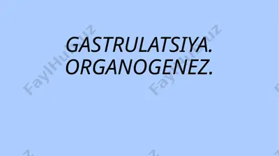 gastrulatsiya va organogenez — PPTX