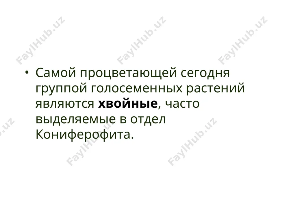 хвойные растения - Page 2
