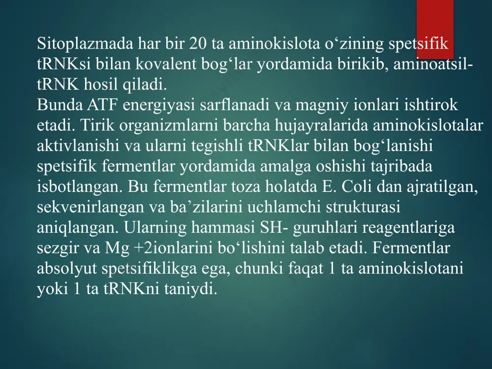 gining yetilish jarayonida oqsilning birlamchi strukturasida o‘zgarishlar sodir bo‘lishi mumkin. bunda polipeptid zanjiri parchalanishi va qisqarishi mumkin. ba’zi polipeptid zanjirlarning translyatsiyadan so‘ng bo‘ladigan o‘zgarishi qator aminokislota qoldiqlarining fosforlanish va atsetillanishidan iboratdir. ba’zi fermentlar, xususan hujayra yuzasida joylashganlar, polisaxaridlar bilan membranada joylashganlari lipidlar bilan birikishi mumkin. shunday qilib, oqsilning ikkilamchi, uchlamchi va to‘rtlamchi strukturasining hosil bo‘lishi maxsus genetik nazorat omillarini talab etmaydi va oqsilning birlamchi strukturasi tomonidan belgilanib termodinamik erkin jarayon hisoblanib, o‘z-o‘zidan sodir bo‘ladi. ribosomasiz peptidlar sintez mexanizmi bo‘yicha to‘plangan ma’lumotlar, albatta, barcha tirik organlarda oqsil biosintezi asosida matritsa mexanizmini yotishini ko‘rsatadi. oqsil sintezini boshqarishda uch xil genlar: struktur, boshqaruvchi va operator genlar ishtirok etadi. struktur genlar hosil bo‘ladigan oqsillarning birlamchi strukturasini belgilaydi. dnk molekulasiga komplementar ravishda hosil bo‘lgan mrnk ribosomaga yetib oqsil sintezi uchun matritsa vazifasini bajaradi. induksiya yo‘li bilan oqsil sintezining boshqarilishini quyidagi sxema bilan ko‘rsatish mumkin: boshqaruvchi gen muhim oqsil–repressorning sintezini ta’minlaydi. operatorlik qiluvchi gen operonning struktura …