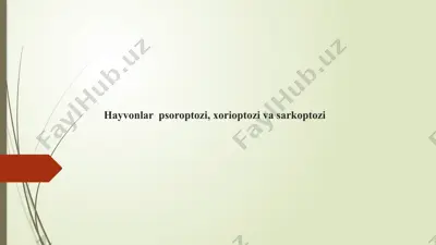 qo‘y psoroptozi — PPTX
