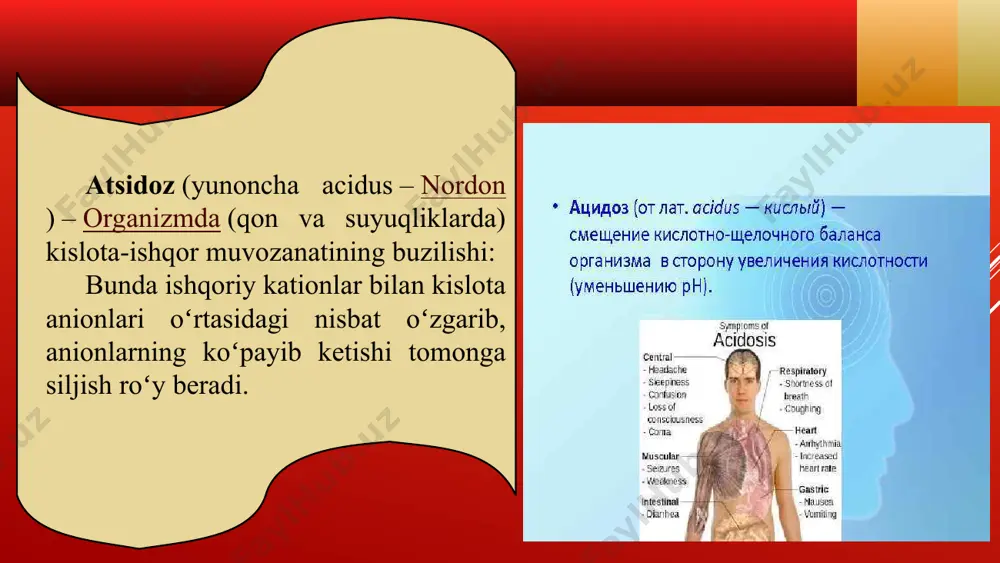 da, kompensatsiyalanmagan alkaloz paydo bo'ladi. bu nima? kislota-baz muvozanatining bunday ko'rsatkichiga ega bo'lgan shaxsda barcha tanadagi tizimlarning normal ishlashi buziladi. xususan, yurak-qon tomir, nafas olish, oshqozon va asab tizimiga bog'liq muammolar mavjud. inson tanasi umr davomida bufer tizimining normal holatini nazorat qiluvchi mexanizmlar bilan to'la, kislota-baz muvozanatini normallashtirish uchun muayyan jarayonlarni tetiklaydi. har kuni iste'mol qilinadigan taomlar to'g'ridan-to'g'ri phga ta'sir qiladi. kislota-baz muvozanati buzilganida organizm ichki muhitining ikki sharti mavjud: alkaloz yoki atsidoz. alkaloz - tananing alkalizatsiyasi. suyuq tizimda gidroksidi aralashmalar ustunlik qiladi va ph 7,45 dan oshadi. asidoz - organizmning kislotalab olinishi. bu juda xavfli holat, chunki alkali uchun tana kislotalardan ko'ra ancha barqarordir. shuning uchun shifokorlar birinchi navbatda har qanday o'zgarish bilan phni normallashtiradigan dietani belgilashadi. sizning sog'lig'ingizdagi o'zgarishlarga to'g'ri munosabatda bo'lish uchun siz alkalizaga nima xavfli ekanini bilishingiz kerak. bu gemodinamikaning buzilishiga olib keladi: qon bosimi, yurak tezligi, miya va koronar qon oqimini pasaytirish. ovqat hazm qilish …