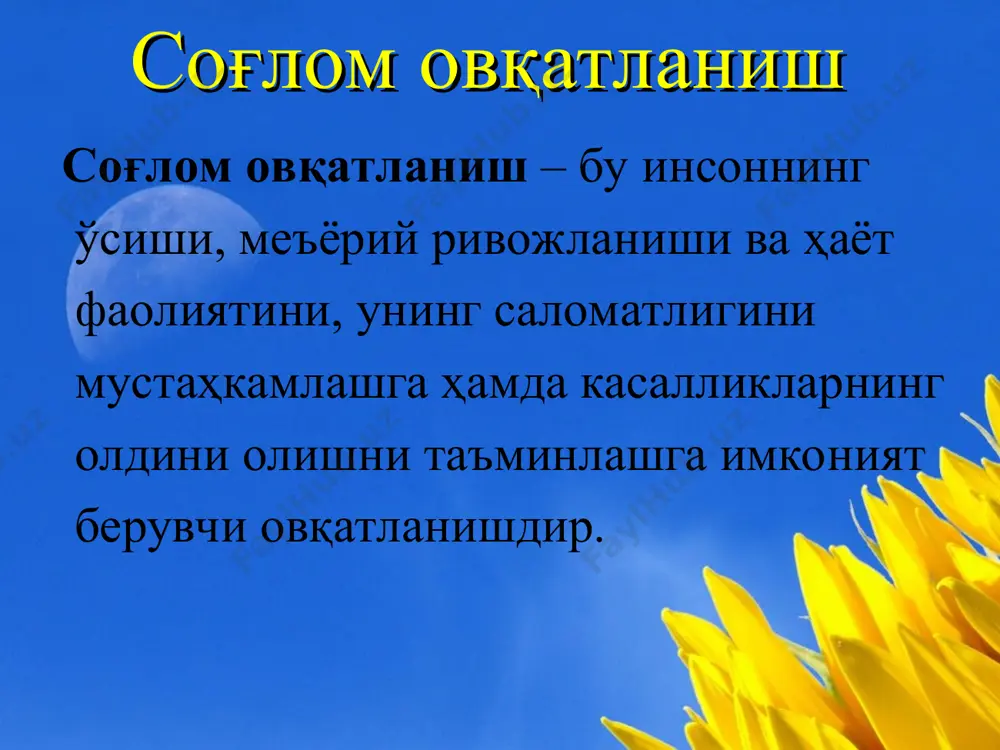 so'glom ovqatlanish - Page 3