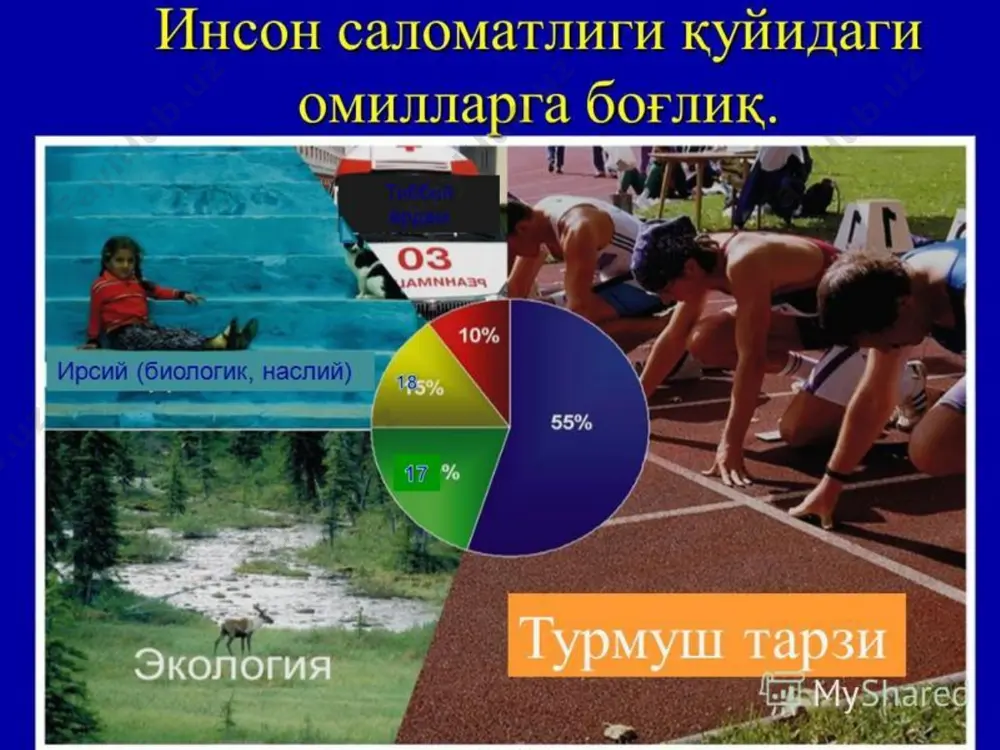 31 май – халқаро кашандаликка қарши курашиш куни - Page 5