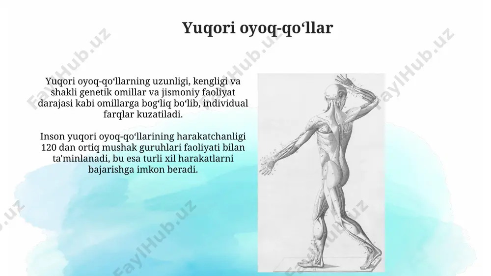 lotin tili gaplarining strukturasi - Page 3