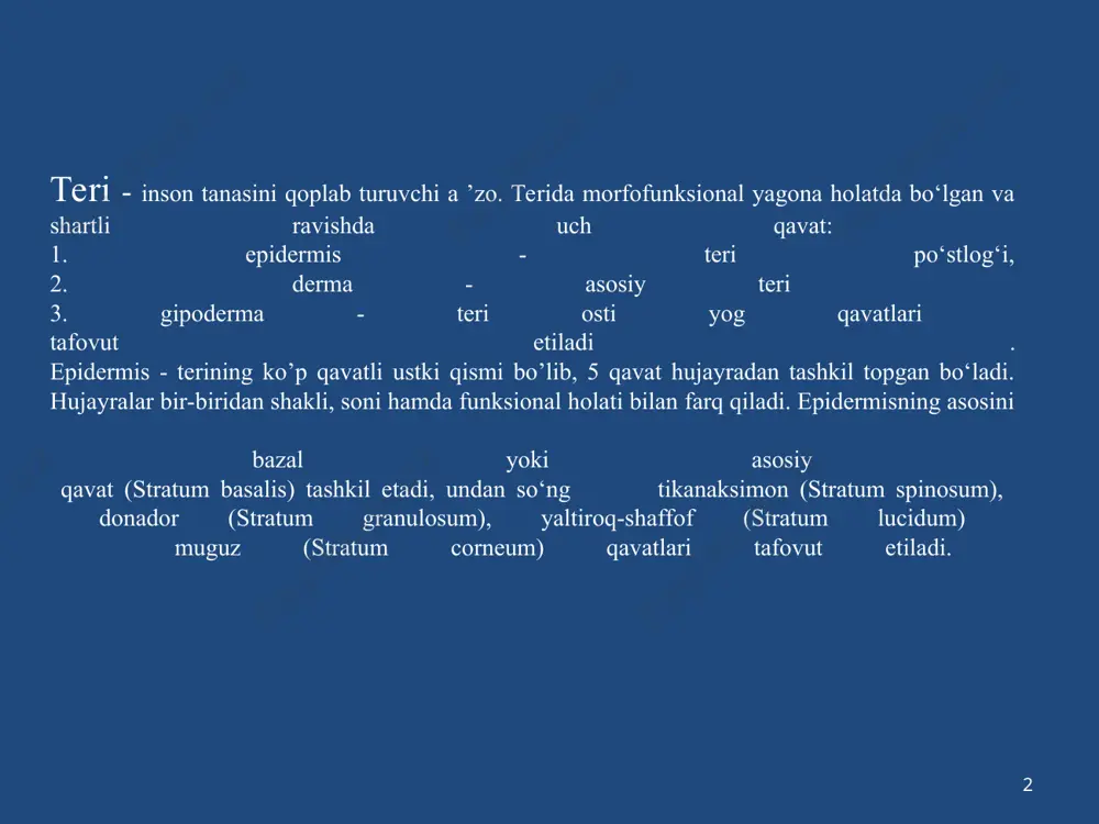 avati (stratum papillare) 2. chuqur to‘rsimon qavat (stratum reticulare). gipoderma yoki teri osti yog qavati. bu qavat bir-biriga chuvalashib ketgan biriktiruvchi to‘qimalar to‘plamlaridan iborat. bu to‘plamlar orasida turli miqdordagi sharsimon yog hujayralari saqlanadi. gipodermada qon tomirlari, nerv tolalari, nerv oxirlari, ter bezlari, soch follikulalari joylashadi. * * terining asosiy funksiyalari himoya funksiyasi. terining himoya xususiyati turli mexanik, nur, mikroorganizmlar ta’siridan terini va butun organizmni himoya qiladi. nafas olish-chiqarish va rezorbsion funksiyasi. terining rezorbsion xususiyati yog'-soch follikulalari funksional faolligiga, suv-yog' mantiyasi holatiga, muguz qavatining pishiqligiga bog'liq. termoregulyator funksiyasi. tana harorati doimiyligini ta ’minlash, adaptatsion mexanizmlari turli-tumandir. terining sekretor funksiyasi. bu funksiya keratinotsitlarning sekretor faoliyati, immunoregulyator hujayralar hamda ter-yog‘ bezlari faoliyati hisobiga amalga oshadi. тerining ekskretor funksiyasi sekretor funksiyasi bilan birga kuzatiladi. almashinuv funksiyasi. terining depolash xususiyati moddalar almashinuvida katta ahamiyatga ega. retseptor funksiyasi. teri nafaqat organizmni turli ta’sirlardan himoya qiladi, balki multifaktor-analizator bo'lib, katta retseptor maydoni ham hisoblanadi. * * morfologik …