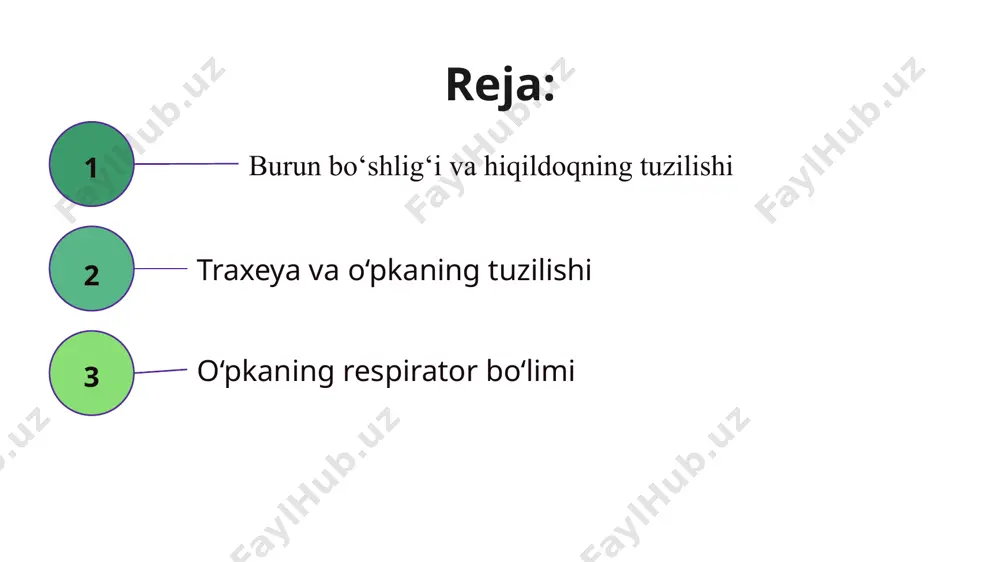 ayralar terminal bronxiolalarning tarmoqlanishi skaner elektron mikroskopiyada terminal bronxiolalarning ko‘rinishi alveolalar devorlari tuzilishi o‘pka alveolalari (uch o‘lchovli sxematik rasm) qon-havo to‘sig‘i alveolalararo to‘siqning bir qismi alveola devorini qoplovchi ii tipdagi hujayra ii tip alveolyar hujayralar tomonidan surfaktant moddasini sekresiyalanishi o‘pka bo‘lakchasida qon va limfaning sirkulyasiyasi plevra plevra– bu o‘pkani qoplab turuvchi seroz parda. u ikki, darvoza atrofida bir-biri bilan birlashgan parietal va visseral qavatlardan tashkil topgan. ikkala qavat kollagen va elastik tolalarni tutgan yupqa biriktiruvchi to‘qimaning yuzasida yotgan mezoteliy hujayralaridan iborat. image1.png image2.png image3.png image4.png image5.png image6.png image7.png image8.png image9.png image10.png image11.png image12.png image13.png image14.png image15.png image16.png image17.png image18.png image19.png image20.png image21.png image22.png image23.png image24.png image25.png image26.png image27.png image28.png image29.png image30.png image31.png image32.png image33.png /docprops/thumbnail.jpeg