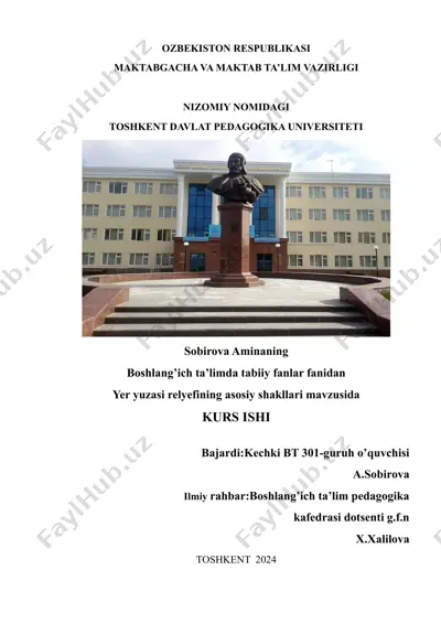 yer yuzasi relyefining asosiy shakllari — DOCX