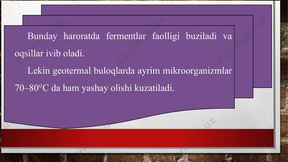 tuproq muhitidagi abiotik omillar va ularning organizmlarga ta’siri - Page 4
