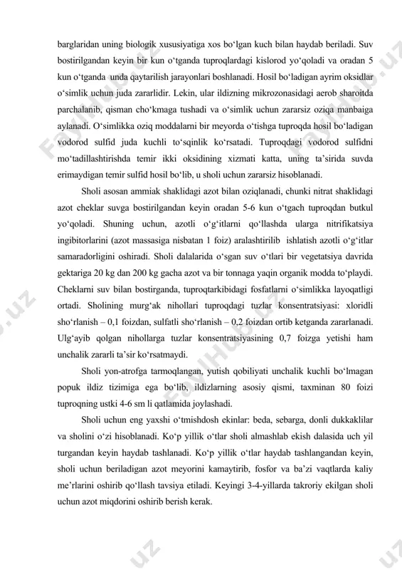yasining 0,7 foizga yetishi ham unchalik zararli ta’sir ko‘rsatmaydi. sholi yon-atrofga tarmoqlangan, yutish qobiliyati unchalik kuchli bo‘lmagan popuk ildiz tizimiga ega bo‘lib, ildizlarning asosiy qismi, taxminan 80 foizi tuproqning ustki 4-6 sm li qatlamida joylashadi. sholi uchun eng yaxshi o‘tmishdosh ekinlar: beda, sebarga, donli dukkaklilar va sholini o‘zi hisoblanadi. ko‘p yillik o‘tlar sholi almashlab ekish dalasida uch yil turgandan keyin haydab tashlanadi. ko‘p yillik o‘tlar haydab tashlangandan keyin, sholi uchun beriladigan azot meyorini kamaytirib, fosfor va ba’zi vaqtlarda kaliy me’rlarini oshirib qo‘llash tavsiya etiladi. keyingi 3-4-yillarda takroriy ekilgan sholi uchun azot miqdorini oshirib berish kerak. sholining ildiz tizimi uning biologik hususiyatiga ko‘ra kuchsiz bo‘lib, oziq moddalarni kam o‘zlashtiradi, yuqori hosil olish uchun sholining oziq moddalarga bo‘lgan taladi keskin oshadi. ma’lumotlarga qura 100 s dan va somoni bilan 242 kg azot, 124 kg fosfor va 315 kg kaliy o‘zlashtiradi. sholi boshka ekinga nisbatan organik va neytral o‘g‘itga talabchan, ayniqsa azotli fosforli …