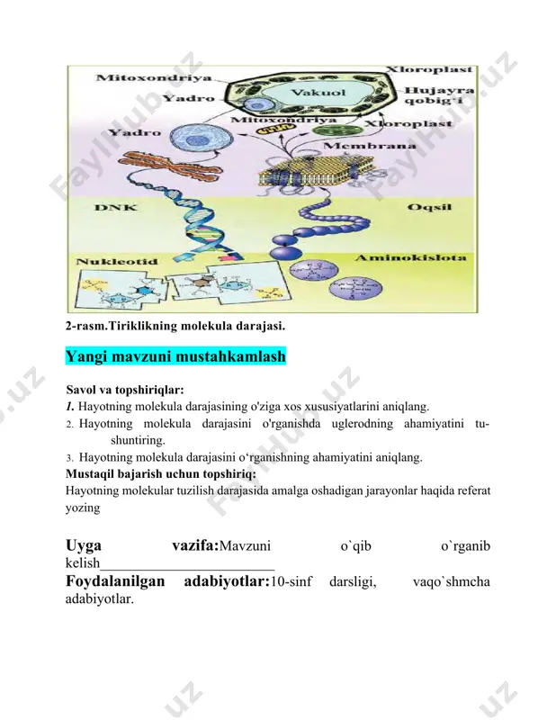 hayotning molekular tuzilish darajasida amalga oshadigan jarayonlar haqida referat yozing uyga vazifa:mavzuni o`qib o`rganib kelish________________________ foydalanilgan adabiyotlar:10-sinf darsligi, vaqo`shmcha adabiyotlar. image1.jpeg