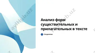 анализ форм существительных и прилагательных в тексте — PPTX