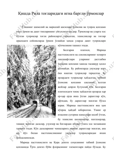 қишда рила тоғларидаги игна баргли ўрмонлар — DOC