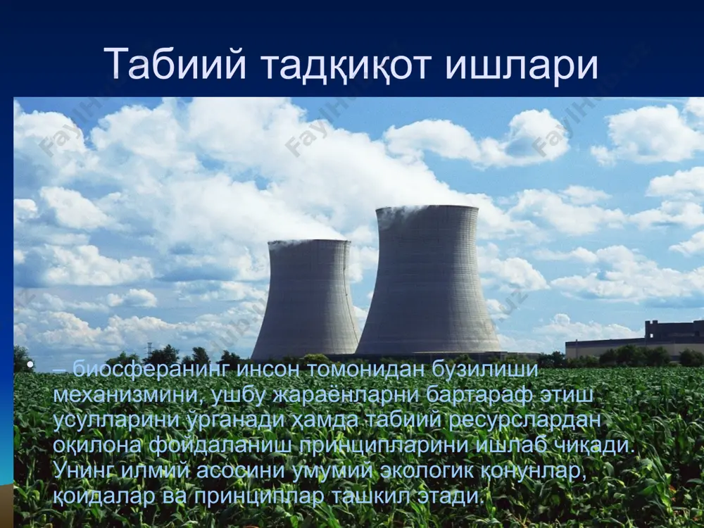 табиий экологик тадқиқот ишларининг асосий босқичлари - Page 4