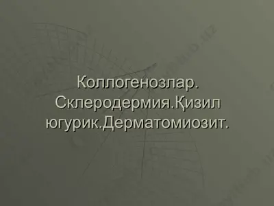 kizil yuguruk (kizil volchanka) — PPT