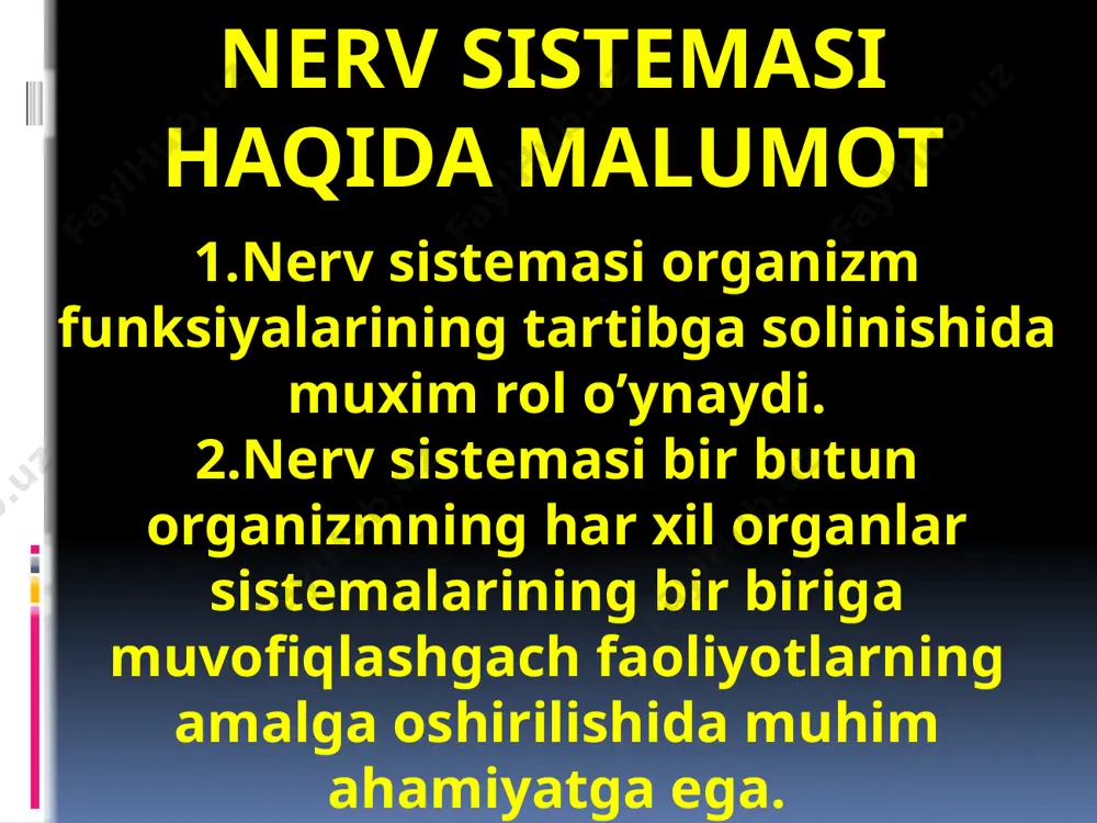 nerv sistemasi, bosh miya - Page 2