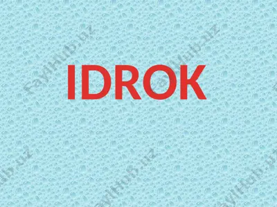 idrok — PPTX