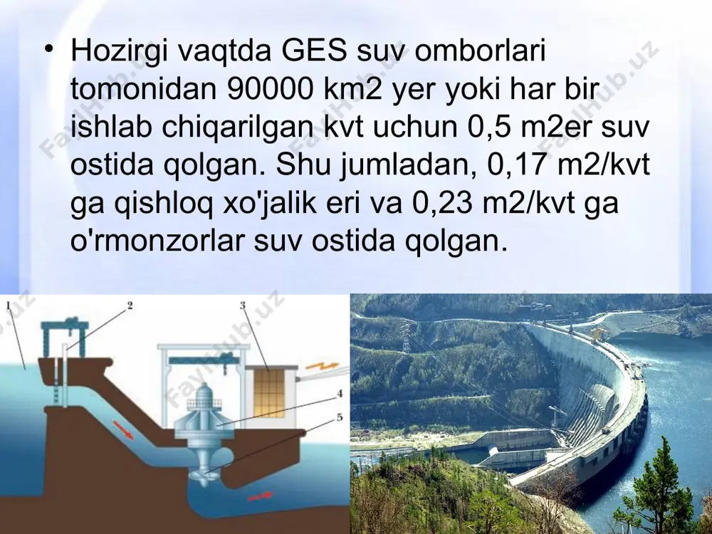 sa, tuproqni sho'rlab, atrofdagi ko'kalamzor erlarni turli foydali o'simlik va hayvonlarni yo'qolib ketishiga sabab bo'lishi mumkin.