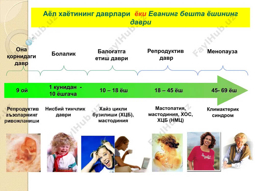 стменопаузал даврда кузатилади healthy women’s study текширувлари шуни кўрсатадики, менопаузанинг биринчи - 3 йилида аёлларнинг вазни ўртача 2,3кг кўпаяди, - 20% аёлларда – 4,5 кг, - 8 йилдан кейин –5,5 кг ортиқча вазн бўлади. . * гиноид, периферик семизлик т/б = 0,7 имт = 27кг/м2 бадан тарбия андроид, марказий семизлик т/б = 0,9 имт = 27кг/м2 инсулинорезистентлик қандли диабет 2 тури гиперлипидемия гипертензия эрта ўлим семизликни турлари нок олма * аёл хаётининг климактерик даврининг ўрни климактерик давр перименопауза пременопауза постменопауза менопауза фертил даври қаричилик 40 45 50 55 65 75 * 50 ёшдан катта аёлларда ўлим сабаблари таққосланганда * климактерик синдром пременопауза тухумдонлар фаолияти сўсайиши 45 ёшдан кейин бошланади 90% аёлларда кузатилади. менопауза тухумдонлар фаолияти сўнади менопаузанинг ўртача ёши – 51 ёш менопауза туғмаган аёлларда эртароқ кузатилади. постменопауза менопаузадан кейин давом этади ва аёл ҳаётининг 1/3 кисмини ташкил этади. гормонал ва метаболик ўзгаришлар секин-аста юз беради. тухумдонда эстрогенлар ва прогестерон …