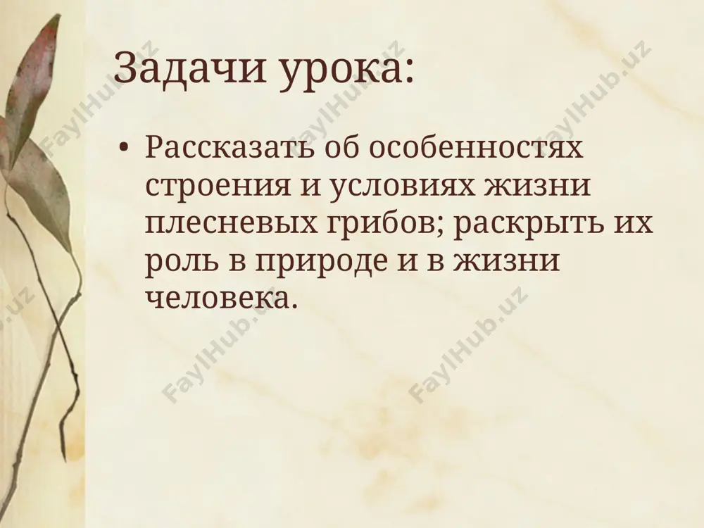 икозы) животных и человека, другие используются для получения антибиотиков или в качестве закваски (так как некоторые мукоровые грибы обладают высокой ферментативной активностью). некоторые виды мукора используются в качестве закваски («китайские дрожжи») или непосредственно для производства сброженных продуктов питания («соевый сыр»,) из сои и злаков, а также для получения этанола из картофеля. мукор раманниановый производит антибиотик ровамицин. аспергилл образуют плоские пушистые колонии, вначале белого цвета, а затем, в зависимости от вида, они принимают разную окраску. широко распространены в природе, очень устойчивы к воздействиям внешней среды. чёрная «плесень» на стенах сырых помещений — это, преимущественно, aspergillus niger в фазе плодоношения.некоторые виды вызывают болезни, другие — применяют в производстве лимонной кислоты, антибиотиков, ферментов. в 1928 году александр флеминг проводил рядовой эксперимент в ходе многолетнего исследования, посвященного изучению борьбы человеческого организма с бактериальными инфекциями. вырастив колонии культуры staphylococcus, он обнаружил, что некоторые из чашек для культивирования заражены обыкновенной плесенью penicillium — веществом, из-за которого …