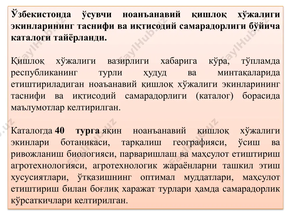 айтун, облепиха, мой учун қовоқ, данакли мой экинлар ва бошқалар; -ем хашак экинларда судан ўти, колумбия ўти, кўп йиллик жўхори, амарант ва бошқа экинлар; туганакмевали экинлардан топинамбур, батат; - тропик ва субтропик экинлардан маржумак ва бошқалар; - шўрга чидамли ўсимликлар киноя, тариқ, жўхори ва бошқа ўсимликлар. -доривор ўсимликлардан - отқулоқ, импира, мойчечак ва бошқа экинлар экиб етиштириш; -тошли ва адирли ерларда- писта бодом ва жийдазорлар барпо этиш; ноанъанавий экинлар ўстиришда ўсимликларни биологик хусусиятларини хисобга олган ҳолда минтақалар ва худудлар бўйича тўғри жойлаштириш ва етиштириш технологиясини тўғри тадбиқ этиш мақсадга мувофиқ. ноанъанавий экинлар ўрганилган, бироқ бизда кенг тарқалмаган ва шунингдек яхши ўрганилмаган бўлиши мумкин. биринчи турдагиларини кўпайтириш катта қийинчилик туғдирмайди. бу экинларнинг фақат уруғчилик тизимини тўғри йўлга қўйиш лозим. иккинчи турдаги ўсимликларда эса бироз қийинчиликлар мавжуд. чунки бу ўсимликларининг уруғи етарли эмас, шунингдек бу ўсимликларни етиштириш технологияси етарлича ўрганилмаган. дала экинлари етиштиришнинг ноъананавий усуллари ноанъанавий деҳкончилик нима? бу саволга жавоб беришдан …