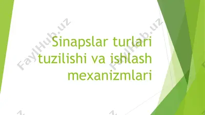 sinapslar turlari tuzilishi va ishlash mexanizmlari — PPT