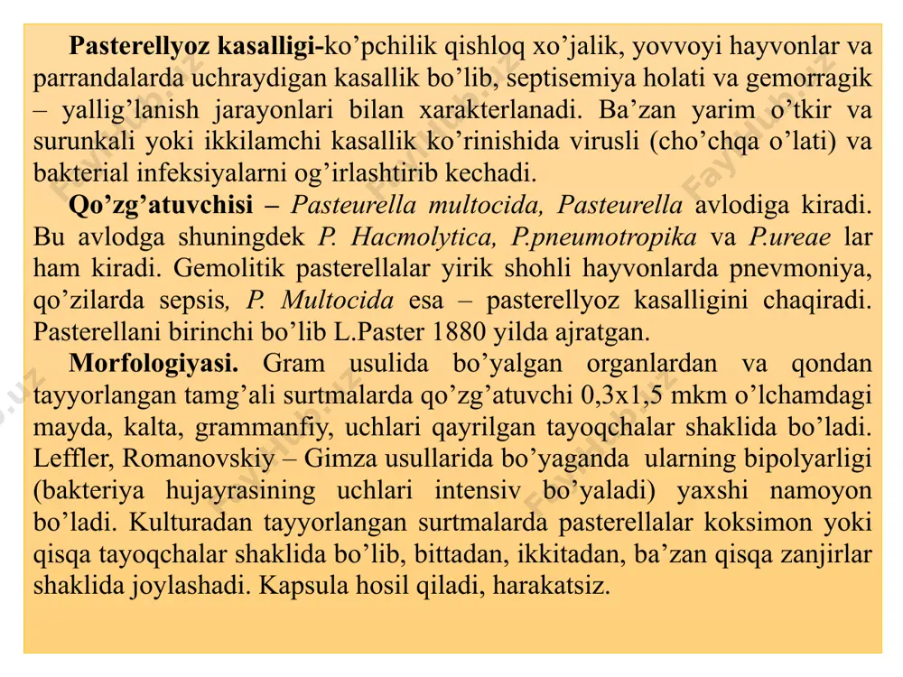 sin, inulin, ramnoza, raffino zalarni parchalaydi. lekin uglevodlarni parchalash xususiyati ularda doimiy emasdir. umumiy belgi sifatida glyukoza, saxaroza, mannoza, galoktozani fermentasiya qilishini inobatga olinadi. jelatinani eritmaydi, sutni ivitmaydi, indol, vodorod sulfid hosil qiladi, mochevinani parchalamaydi. chidamliligi. pasterellalar quritishda, yuqori harorat va quyosh nurlari ta’sirida tez o’ladi. 70-90 0c da5-10 min, 580c da 20 min da, qaynatganda shu zahoti o’ladi. past haroratlarda uzoq saqlanadi.muzlatilgan tovuq jasadida yillab (ye.v.kojevnikov, 1975), tuproqda bir oy, tovuq tezagida ikki oy yashaydi. dezinfeksiyalovchi moddalardan – fenol, krezol, xlorli ohak, formalin va h. k. lar kuchli ta’sir qiladi. pasterellalar antibiotiklarga sezuvchandir. patogenligi. qo’zg’atuvchining patogenligi har xildir, virulentligi ham o’zgaruvchandir. ba’zan o’lgan hayvondan 6-9 soatdan keyin olingan materialdan ajratilgan kulturalar, o’lgan zahoti olingan materialdan ajratilgan lariga nisbatan 10 marta virulentligi kuchli bo’ladi (oq sichqonlarda). qo’zg’atuvchining yangi ajratilgan shtammlari oq sichqon ,quyon, kabutarlar uchun patogenlidir. laboratoriya sharoitlarida pasterellalar virulentligi pasayishi yoki yo’qolishi mumkin. silliq koloniya shakli virulentli, shilimshiq koloniya …