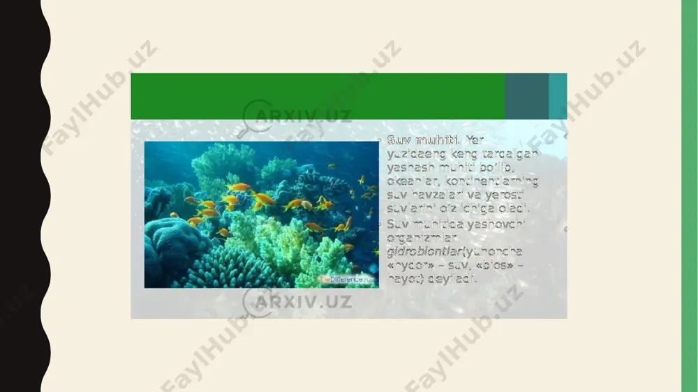 ecological environment and organisms - Page 4