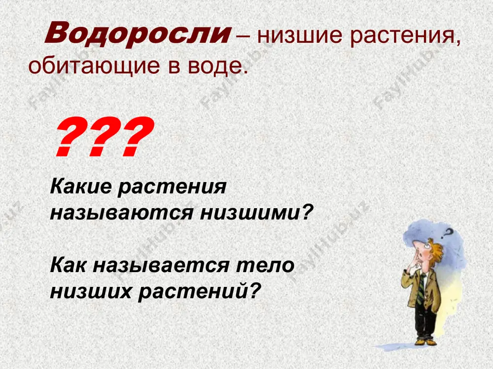 водоросли - Page 2