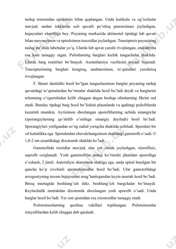 n qoplangan. unda kutikula va og’izchalar mavjud, undan ichkarida uch qavatli po’stloq parenximasi joylashgan, hujayralari xlorofilga boy. poyaning markazida aktinostel tipidagi lub qavati bilan narvonsimon va spiralsimon traxeidlar joylashgan. tmesipteris poyasining tashqi po’stida labchalar yo’q. ularda lub qavat yaxshi rivojlangan, endoderma esa kam taraqqiy etgan. psilotlarning barglari kichik tangachalar shaklida. ularda barg tomirlari bo’lmaydi. assimilatsiya vazifasini poyasi bajaradi. tmesipterisning barglari kengroq, nashtarsimon, to’qimalari yaxshiroq rivojlangan. f. bauer dastlabki hosil bo’lgan tangachasimon barglar poyaning tashqi qavatidagi to’qimalardan bo’rtmalar shaklida hosil bo’ladi deydi va barglarini telomning o’zgarishidan kelib chiqqan degan boshqa olimlarning fikrini rad etadi. bunday tipdagi barg hosil bo’lishini plaunlarda va qadimgi psilofitlarda kuzatish mumkin. ayrisimon shoxlangan sporofitlarning uchida sinangiylar (sporangiylarning qo’shilib o’sishiga sinangiy deyiladi) hosil bo’ladi. sporangiylari yetilgandan so’ng radial yoriqcha shaklida ochiladi. sporalari bir xil kattalikka ega. sporalardan chuvalchangsimon shakldagi gametofit o’sadi. u 1,8-2 sm uzunlikdagi dixotomik shaklda bo’ladi. gametofitda rizoidlar mavjud, ular yer ostida joylashgan, xlorofilsiz, saprofit oziqlanadi. …