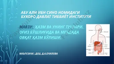 ta’limnoma "ovqat hazmi va uning turlari" — PPTX