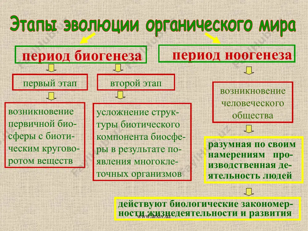 рациональное природопользование - Page 5